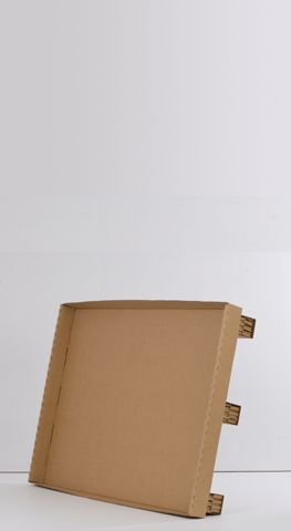 tarimas de carton en santa catarina